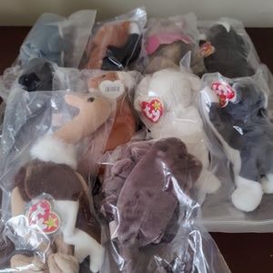 Lot of 10 Beanie Babies (10)